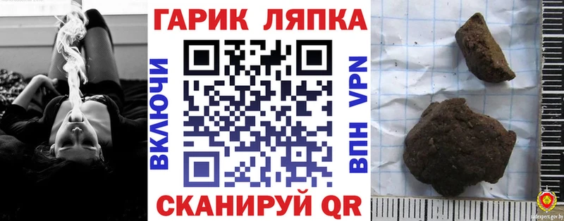 ГАШ Premium  Купить где  Ленинск 