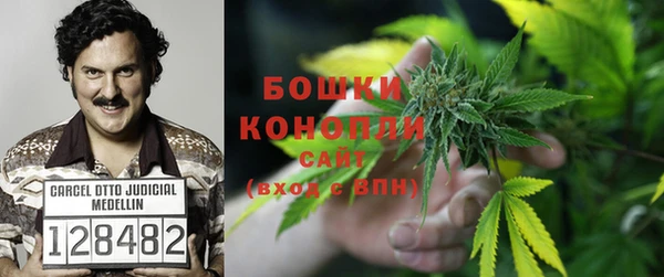 стафф Дмитровск
