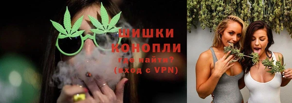 мяу мяу мука Дмитриев