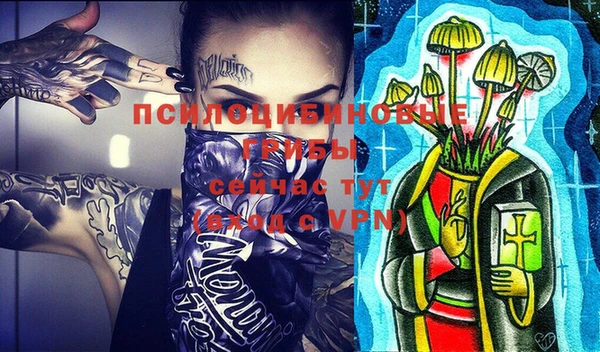 мяу мяу мука Дмитриев