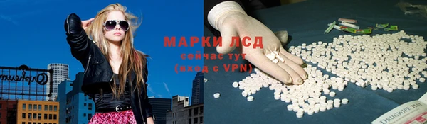 стафф Дмитровск
