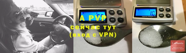мяу мяу мука Дмитриев
