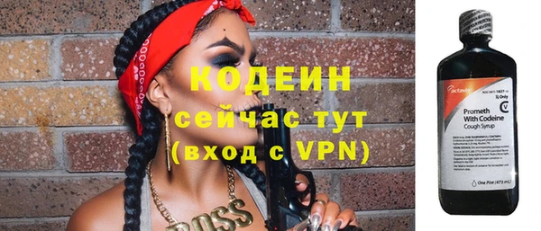 мяу мяу мука Дмитриев