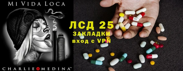 мяу мяу мука Дмитриев