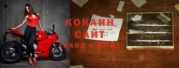 стафф Дмитровск
