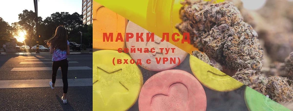 мяу мяу мука Дмитриев