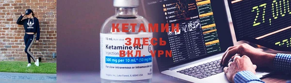 мяу мяу мука Дмитриев